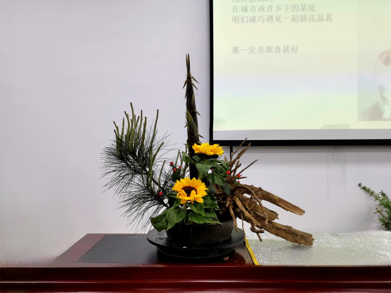 图片m.png